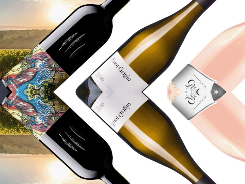 Probepaket "die NEUEN"